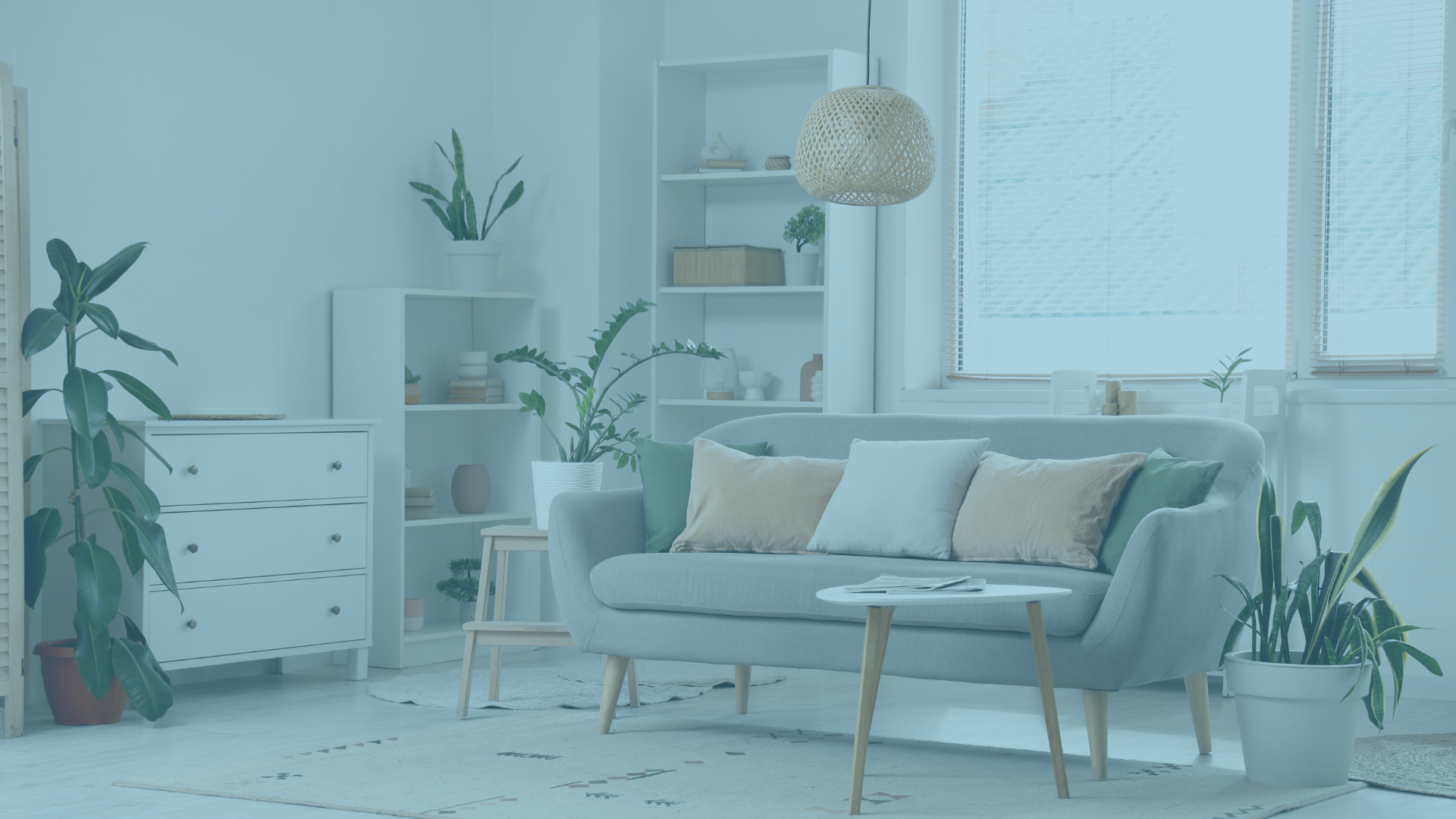Furniture Importers  Demand More Control Over Import Supply Chain